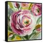 Ranunculus Rosa I-Lanie Loreth-Framed Stretched Canvas