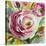 Ranunculus Rosa I-Lanie Loreth-Stretched Canvas