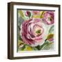 Ranunculus Rosa I-Lanie Loreth-Framed Art Print