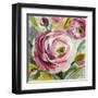 Ranunculus Rosa I-Lanie Loreth-Framed Art Print