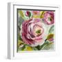 Ranunculus Rosa I-Lanie Loreth-Framed Art Print