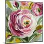 Ranunculus Rosa I-Lanie Loreth-Mounted Art Print