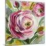 Ranunculus Rosa I-Lanie Loreth-Mounted Art Print