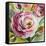 Ranunculus Rosa I-Lanie Loreth-Framed Stretched Canvas