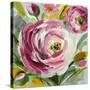 Ranunculus Rosa I-Lanie Loreth-Stretched Canvas