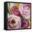 Ranunculus Rosa II-Lanie Loreth-Framed Stretched Canvas