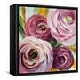 Ranunculus Rosa II-Lanie Loreth-Framed Stretched Canvas