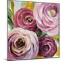 Ranunculus Rosa II-Lanie Loreth-Mounted Premium Giclee Print
