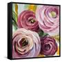 Ranunculus Rosa II-Lanie Loreth-Framed Stretched Canvas