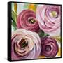 Ranunculus Rosa II-Lanie Loreth-Framed Stretched Canvas