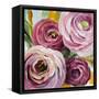 Ranunculus Rosa II-Lanie Loreth-Framed Stretched Canvas