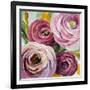 Ranunculus Rosa II-Lanie Loreth-Framed Art Print