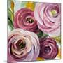 Ranunculus Rosa II-Lanie Loreth-Mounted Art Print