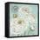 Ranunculus Stamp-Stefania Ferri-Framed Stretched Canvas