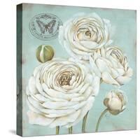 Ranunculus Stamp-Stefania Ferri-Stretched Canvas