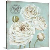 Ranunculus Stamp-Stefania Ferri-Stretched Canvas