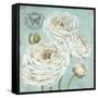 Ranunculus Stamp-Stefania Ferri-Framed Stretched Canvas