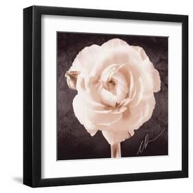 Ranunculus-Christine Zalewski-Framed Art Print