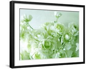 Ranunculus-null-Framed Photographic Print