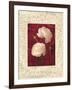 Ranunculus-John Seba-Framed Art Print