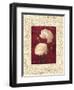 Ranunculus-John Seba-Framed Art Print