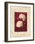 Ranunculus-John Seba-Framed Art Print