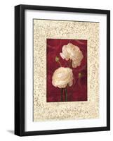 Ranunculus-John Seba-Framed Art Print