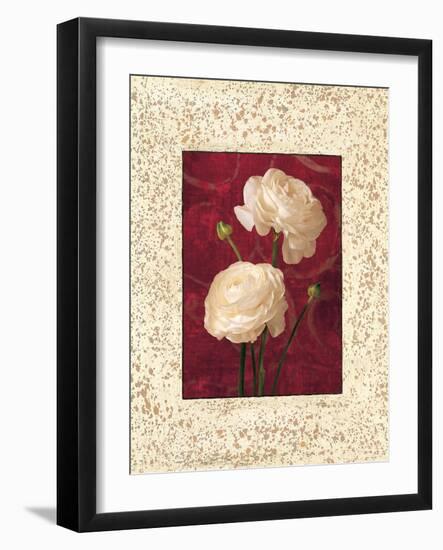 Ranunculus-John Seba-Framed Art Print