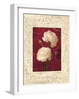 Ranunculus-John Seba-Framed Art Print