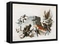 Framed Canvas