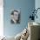 Raoul Gustaf Wallenberg in a Diplomatic Identification Photo-null-Photo displayed on a wall