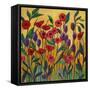 Raoul's Garden-Patty Baker-Framed Stretched Canvas