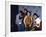 Rap Group the Beastie Boys Adam Horovitz, Adam Yauch, and Mike Diamond with Dj Hurricane-null-Framed Premium Photographic Print