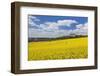 Rape Field and Benedictine Abbey, Neresheim, Swabian Alb, Baden Wurttemberg, Germany, Europe-Markus Lange-Framed Photographic Print