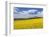 Rape Field and Benedictine Abbey, Neresheim, Swabian Alb, Baden Wurttemberg, Germany, Europe-Markus Lange-Framed Photographic Print