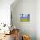 Rape Field and Blue Sky with White Clouds-Nigel Francis-Photographic Print displayed on a wall