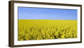 Rape Field, Clouds, Sky-Steffen Beuthan-Framed Photographic Print