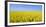 Rape Field, Clouds, Sky-Steffen Beuthan-Framed Photographic Print