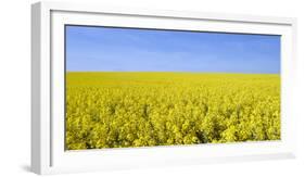 Rape Field, Clouds, Sky-Steffen Beuthan-Framed Photographic Print