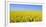 Rape Field, Clouds, Sky-Steffen Beuthan-Framed Photographic Print