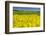 Rape Field, Fields, Spring, Edertal (Community), Edersee National Park, Hessia, Germany-Raimund Linke-Framed Photographic Print