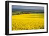 Rape Field, Guildford, Surrey, England, United Kingdom, Europe-Matthew Williams-Ellis-Framed Photographic Print