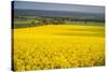 Rape Field, Guildford, Surrey, England, United Kingdom, Europe-Matthew Williams-Ellis-Stretched Canvas