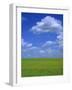Rape Field with Blue Sky and White Clouds, Herefordshire, England, United Kingdom, Europe-Jean Brooks-Framed Photographic Print