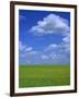 Rape Field with Blue Sky and White Clouds, Herefordshire, England, United Kingdom, Europe-Jean Brooks-Framed Photographic Print