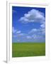 Rape Field with Blue Sky and White Clouds, Herefordshire, England, United Kingdom, Europe-Jean Brooks-Framed Photographic Print