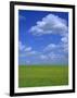 Rape Field with Blue Sky and White Clouds, Herefordshire, England, United Kingdom, Europe-Jean Brooks-Framed Photographic Print