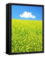 Rape Field-null-Framed Stretched Canvas