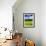 Rape Field-null-Framed Premium Photographic Print displayed on a wall