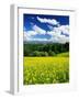 Rape Field-null-Framed Premium Photographic Print